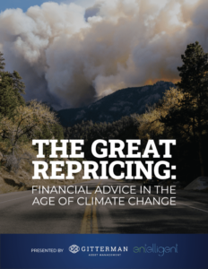 The Great Repricing Report Cover