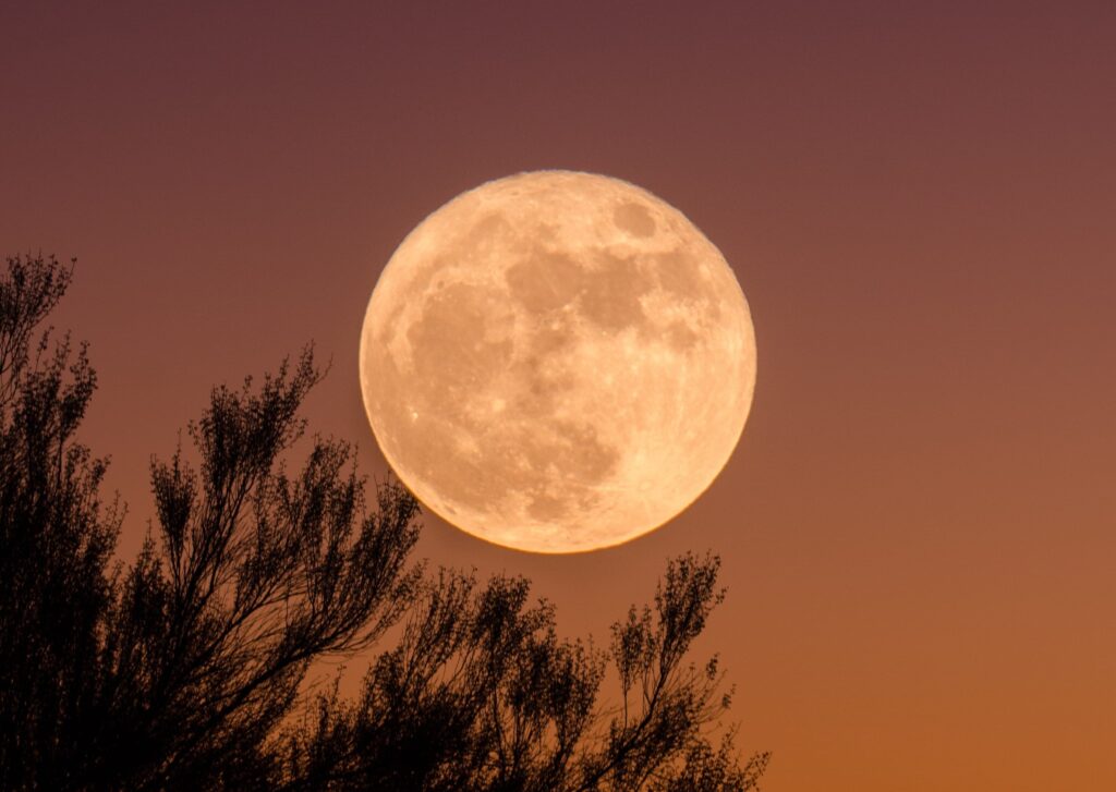 Moon in a reddish sky above a trees